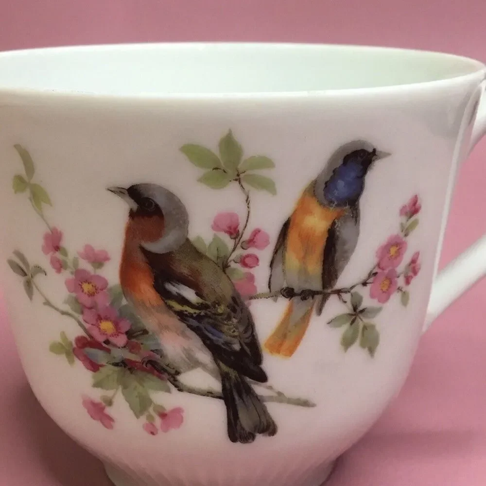 Schumann Arzberg White/Pink Birds Theme Tea Cup &‎ Saucer Set  Bavaria Germany